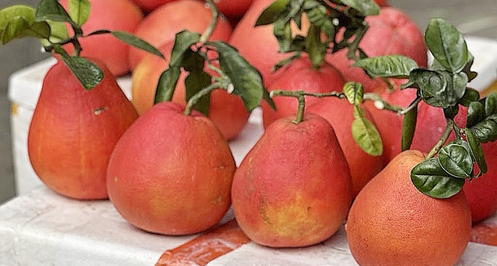 Người phụ nữ phải đi cấp cứu do ăn bưởi không đúng thời điểm