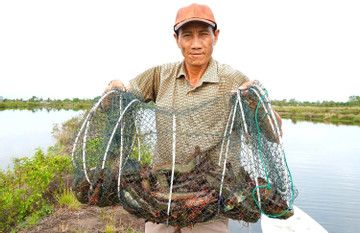 Ông nông dân đút túi cả tỷ đồng mỗi năm nhờ 'kho báu' dưới ao