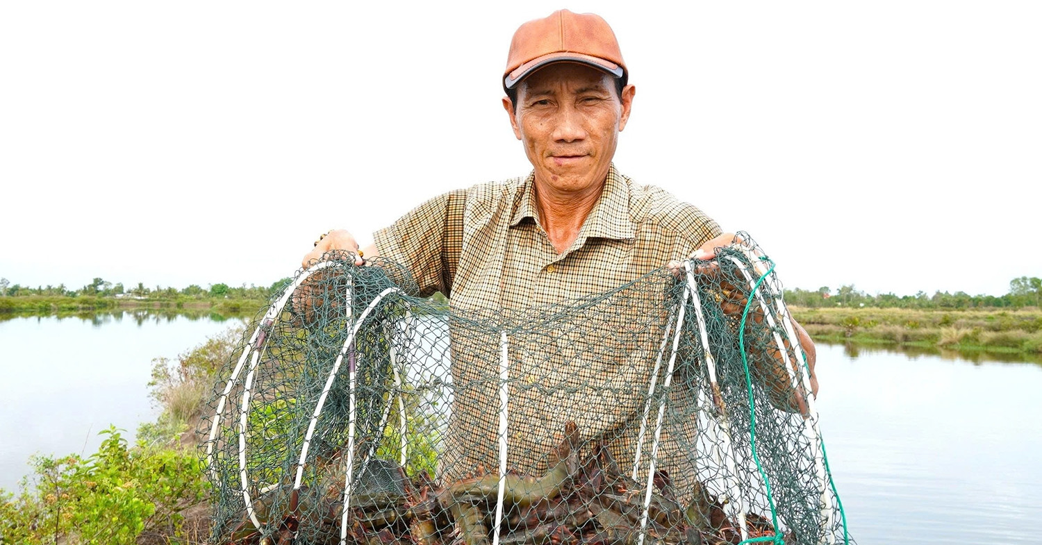 Ông nông dân đút túi cả tỷ đồng mỗi năm nhờ "kho báu" dưới ao