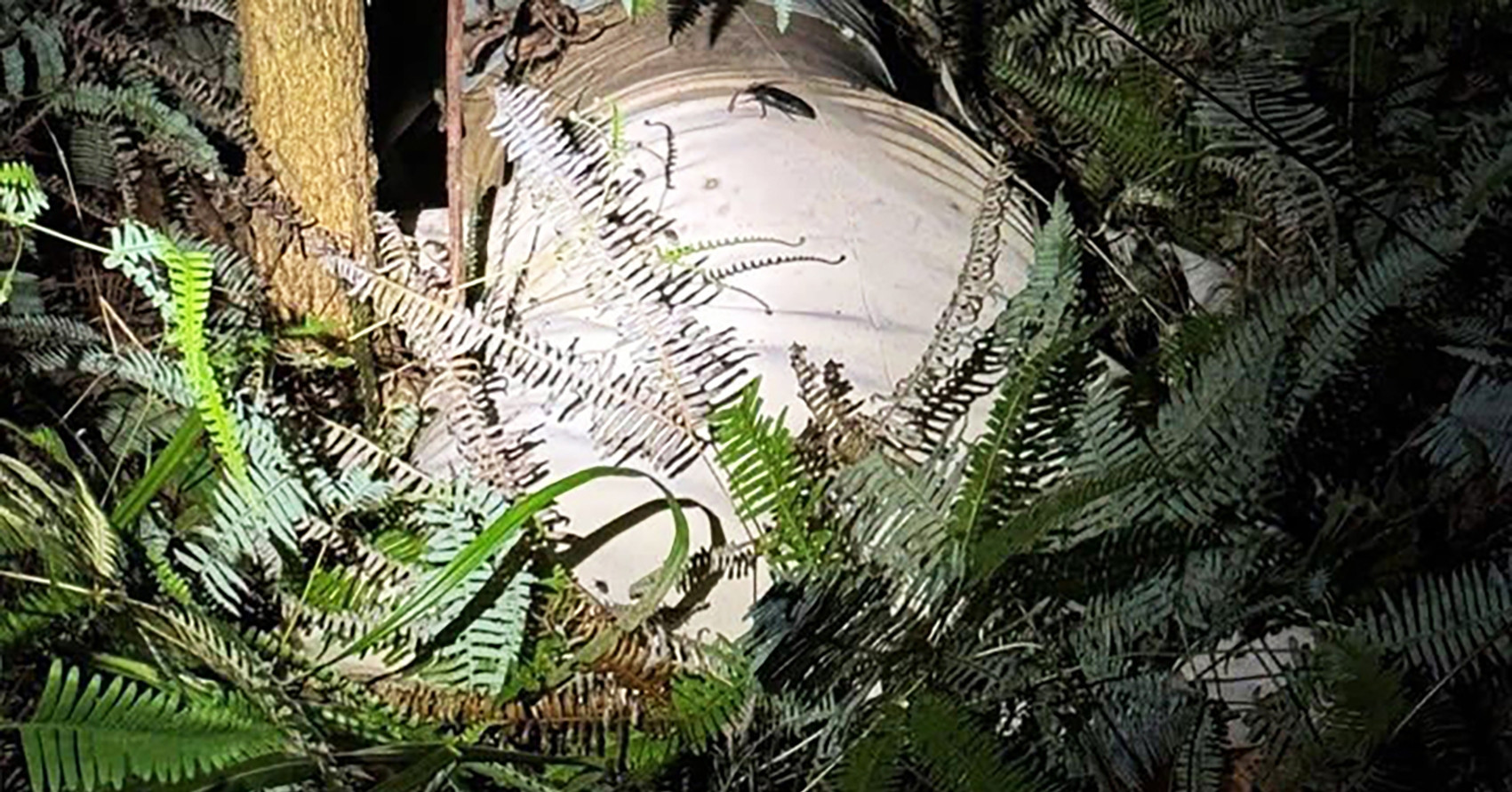 Thi thể nữ giới phân hủy trong bao tải ở Quảng Ninh