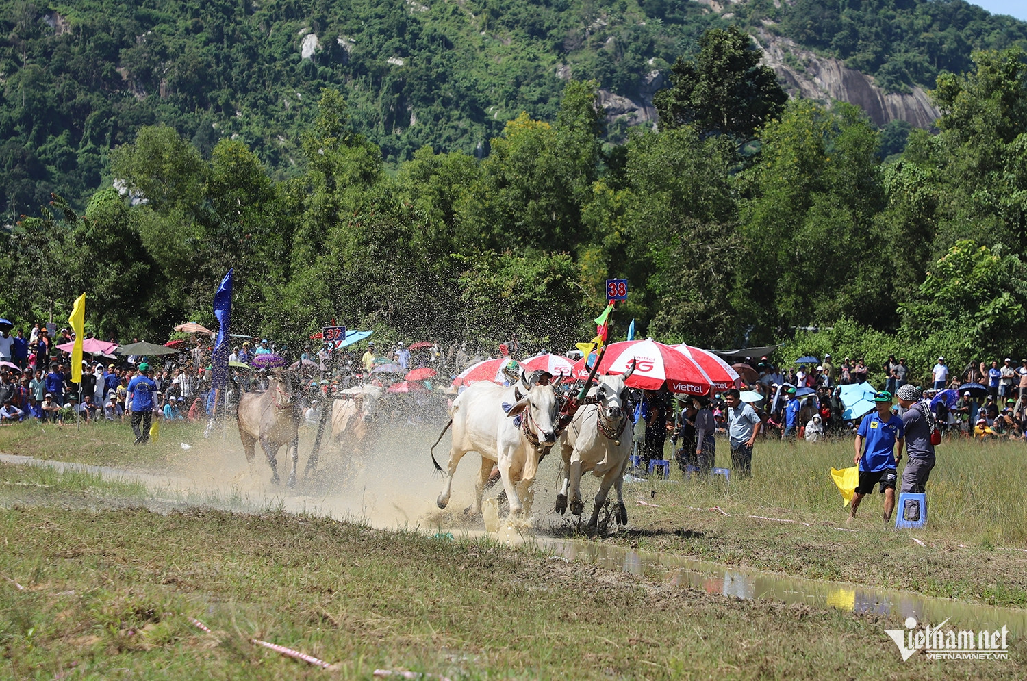 W-đua bò 5.JPG.jpg