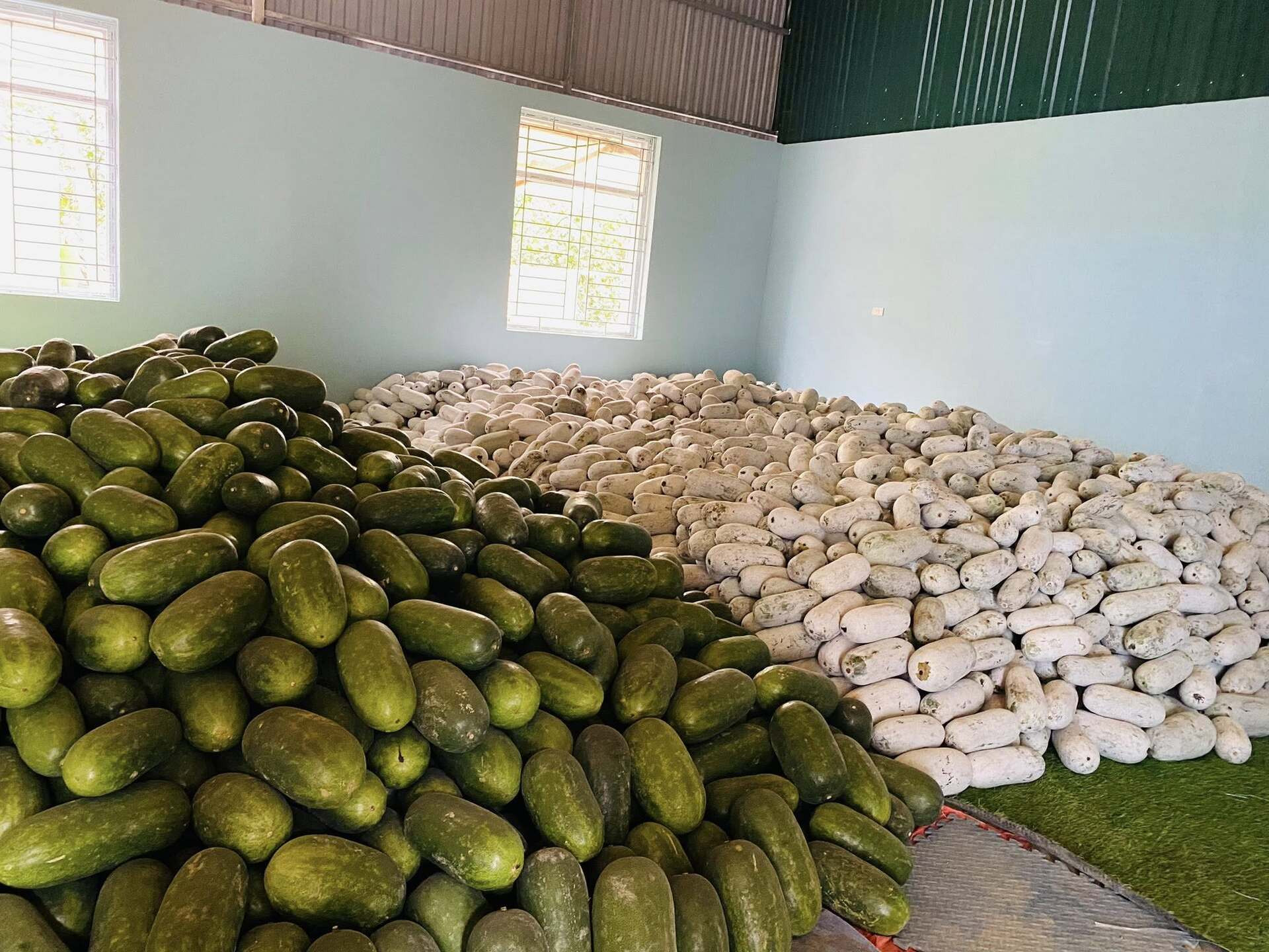 ល្ពៅក្រអូប Ba Be Cooperative Yen Duong.jpg