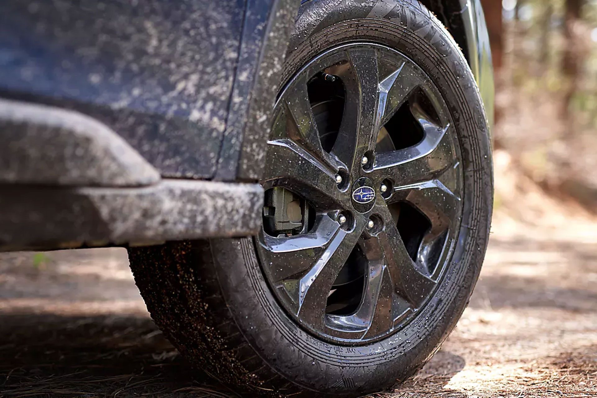 mua xe Subaru cu (2).jpg