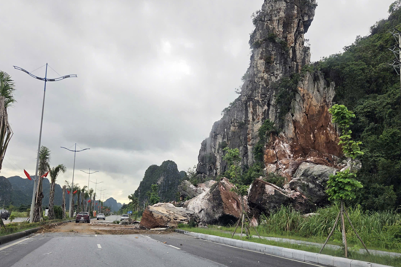 09b8ecf5 f039 4965 bfa7 d52a0ff94454.jpeg