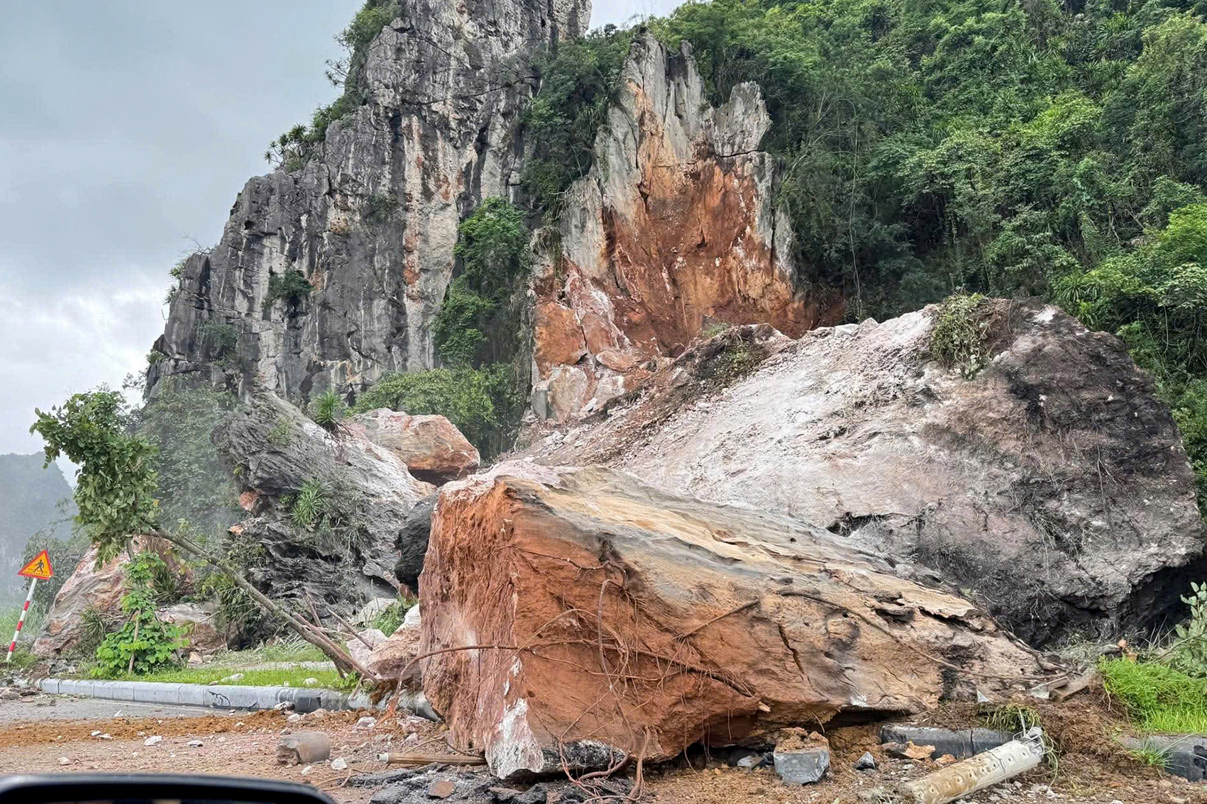 9cc48cfb 4b34 40d2 9ca4 4ffd12ea5384.jpeg