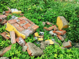 nam muoi 1.jpg