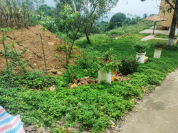 nam muoi 7.jpg