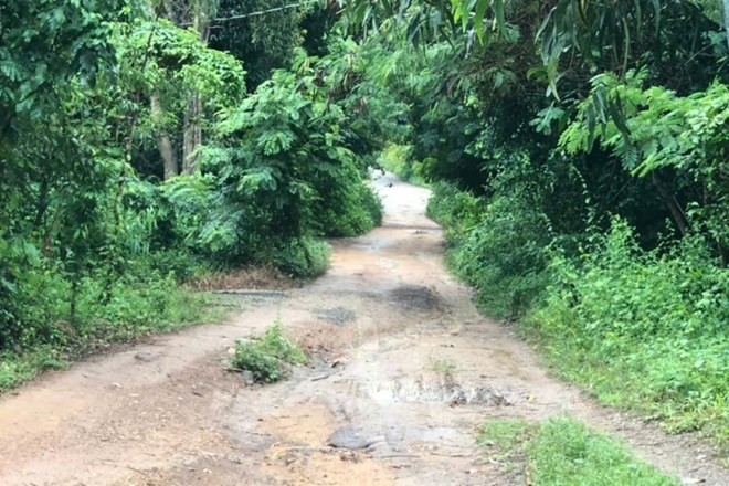 Nghi án con trai sát hại mẹ, chém trọng thương chị gái ở TPHCM