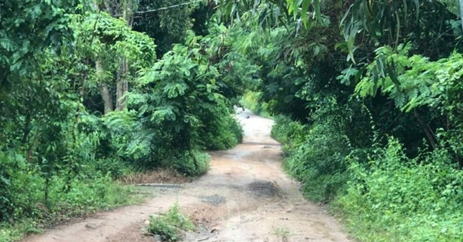 Nghi án con trai sát hại mẹ, chém trọng thương chị gái ở TPHCM