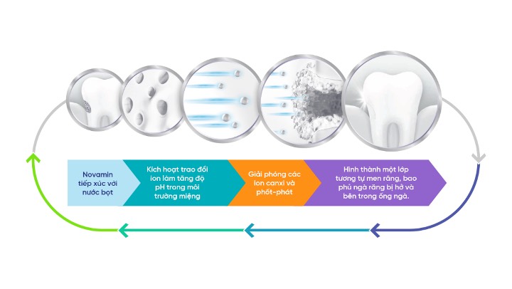 Ảnh 4 IMG_9296.png