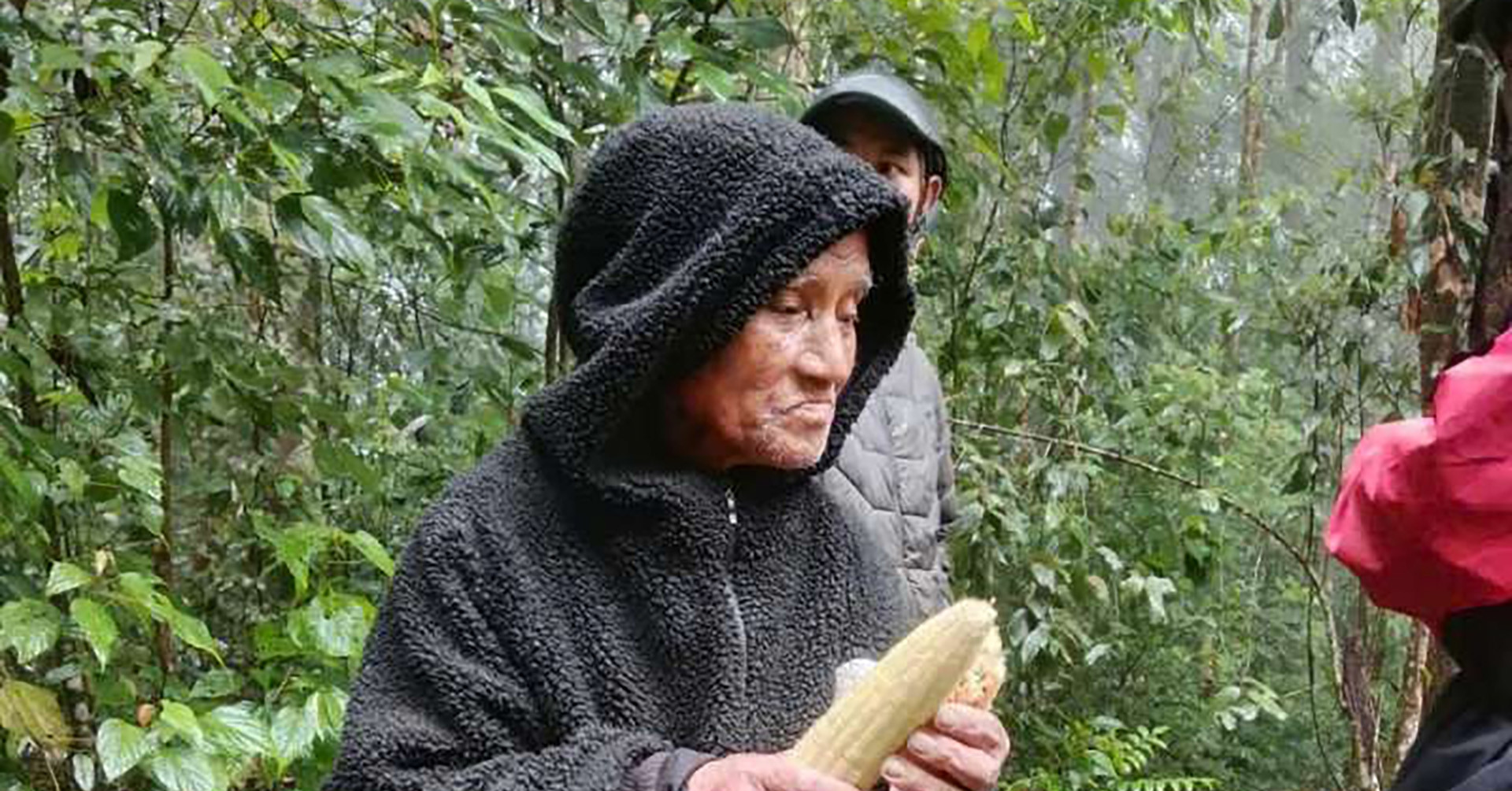 Bí quyết sống sót suốt nhiều ngày lạc trong rừng của cụ ông 78 tuổi