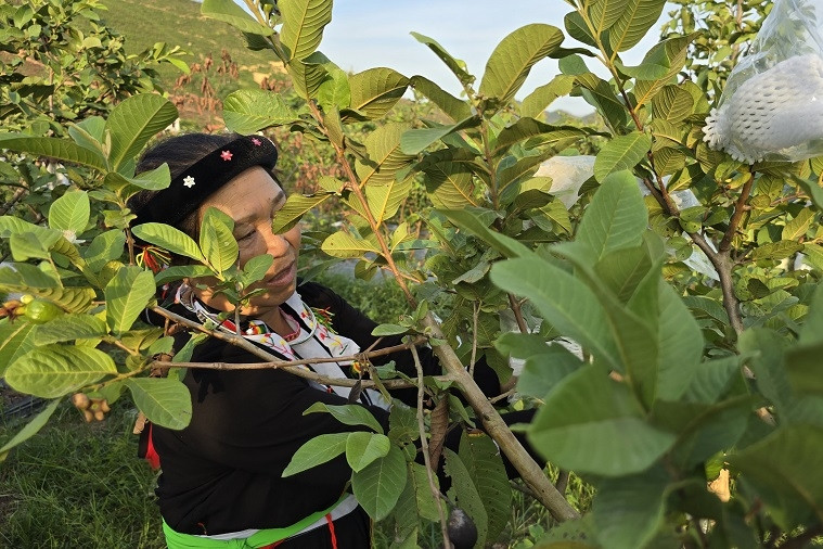Phát triển du lịch sinh thái - nâng cao hiệu quả xây dựng nông thôn mới