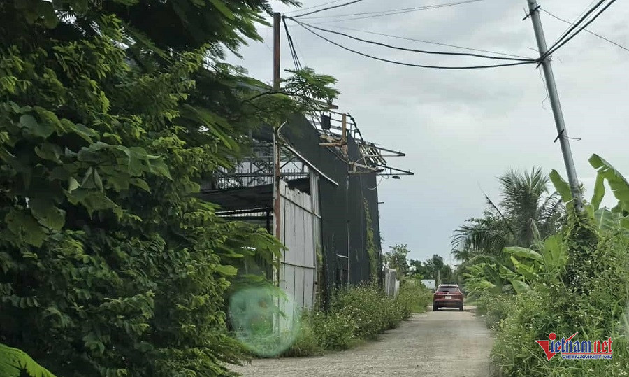 W-89236d17 6684 4090 8fd5 8e262eeb20ad.jpg