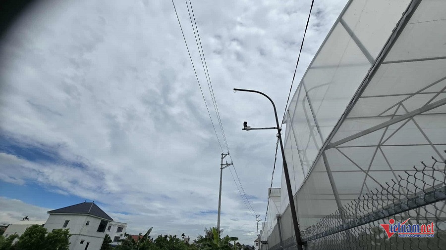 W-dc67e2a7 1a5b 4771 89b3 1b226c2c911d.jpg