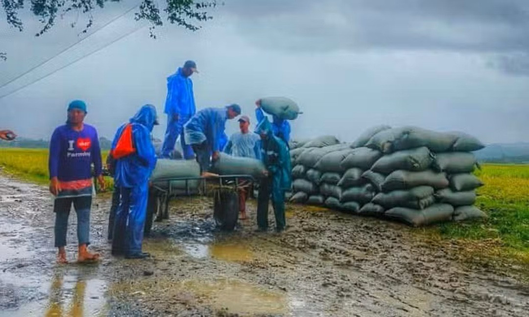 WhatsApp Image 2025 09 23 at 10.01.04.jpeg