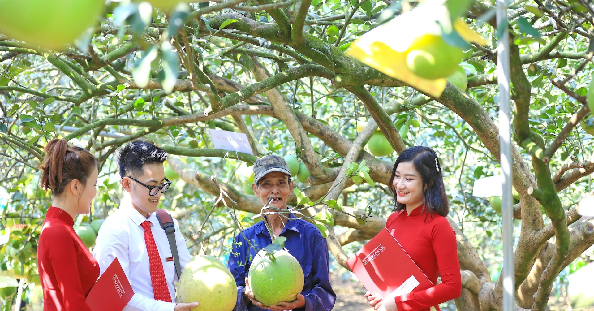 Agribank thúc đẩy phát triển bền vững với chương trình ưu đãi "xanh"