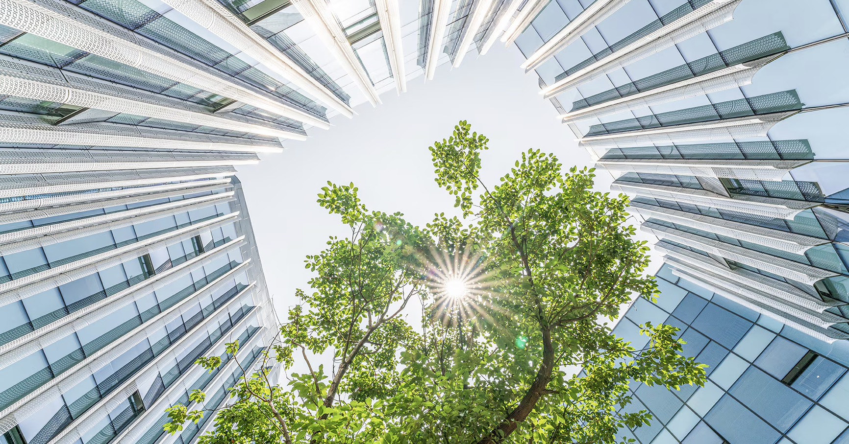 Doanh nghiệp sẽ không còn khả năng tồn tại trong 10 năm tới nếu không ‘làm xanh’