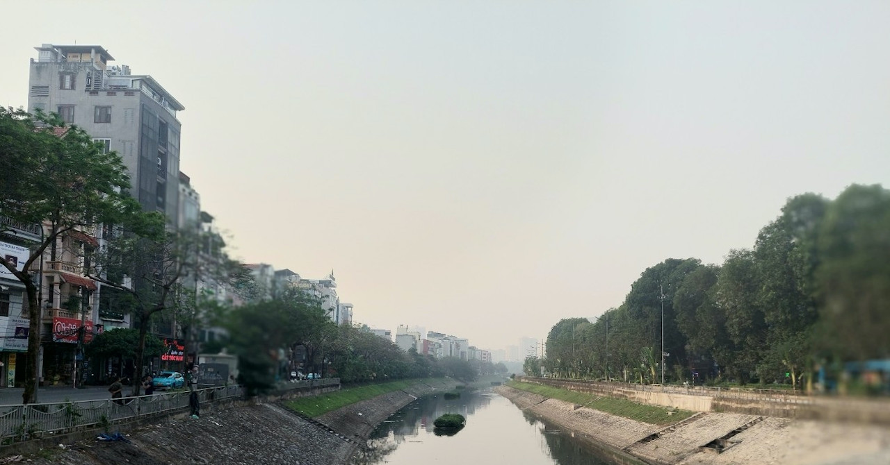 Hà Nội: Phát triển cây xanh là bảo vệ môi trường cho thế hệ tương lai