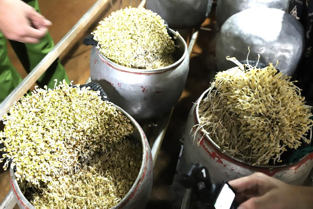 Người phụ nữ ở Hà Tĩnh tưới chất cấm lên giá đỗ để bán ra thị trường