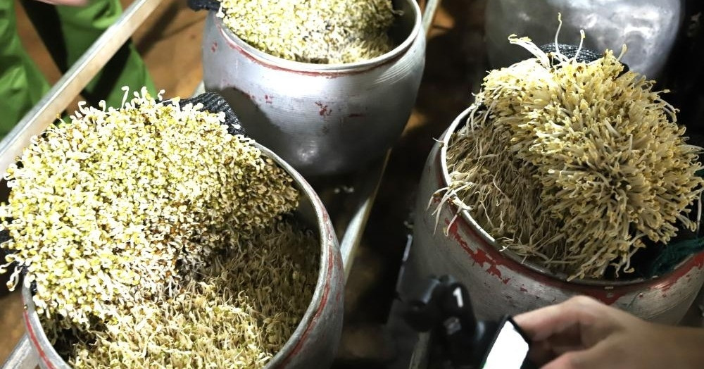 Người phụ nữ ở Hà Tĩnh tưới chất cấm lên giá đỗ để bán ra thị trường