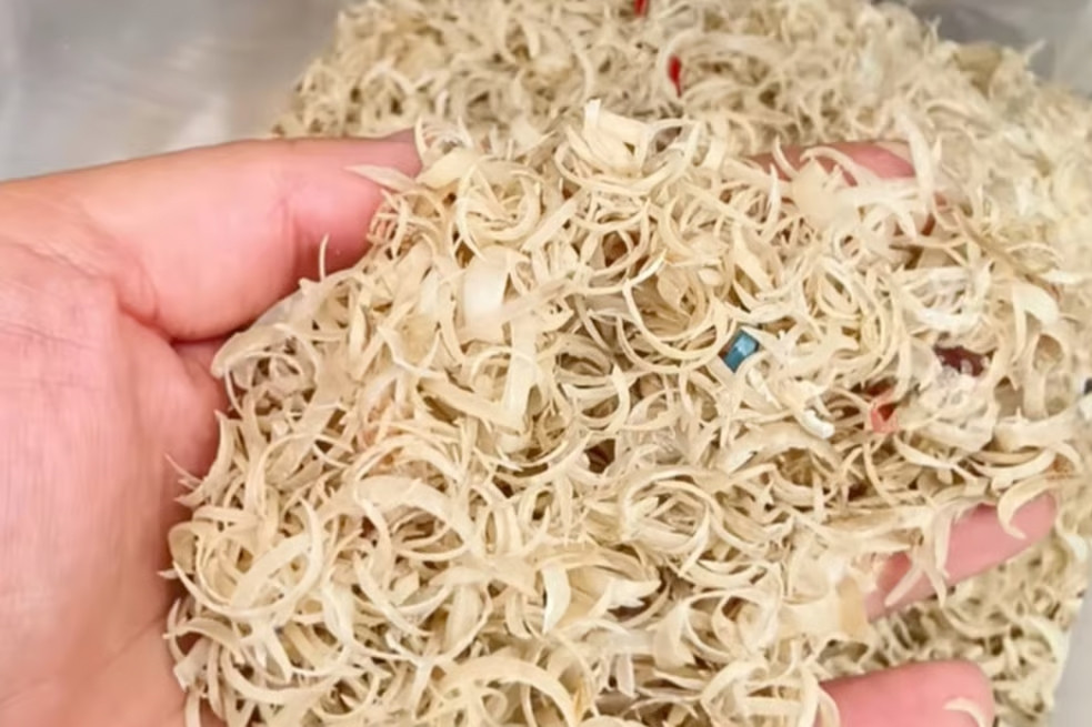 Thu mua móng tay làm thuốc chữa bệnh