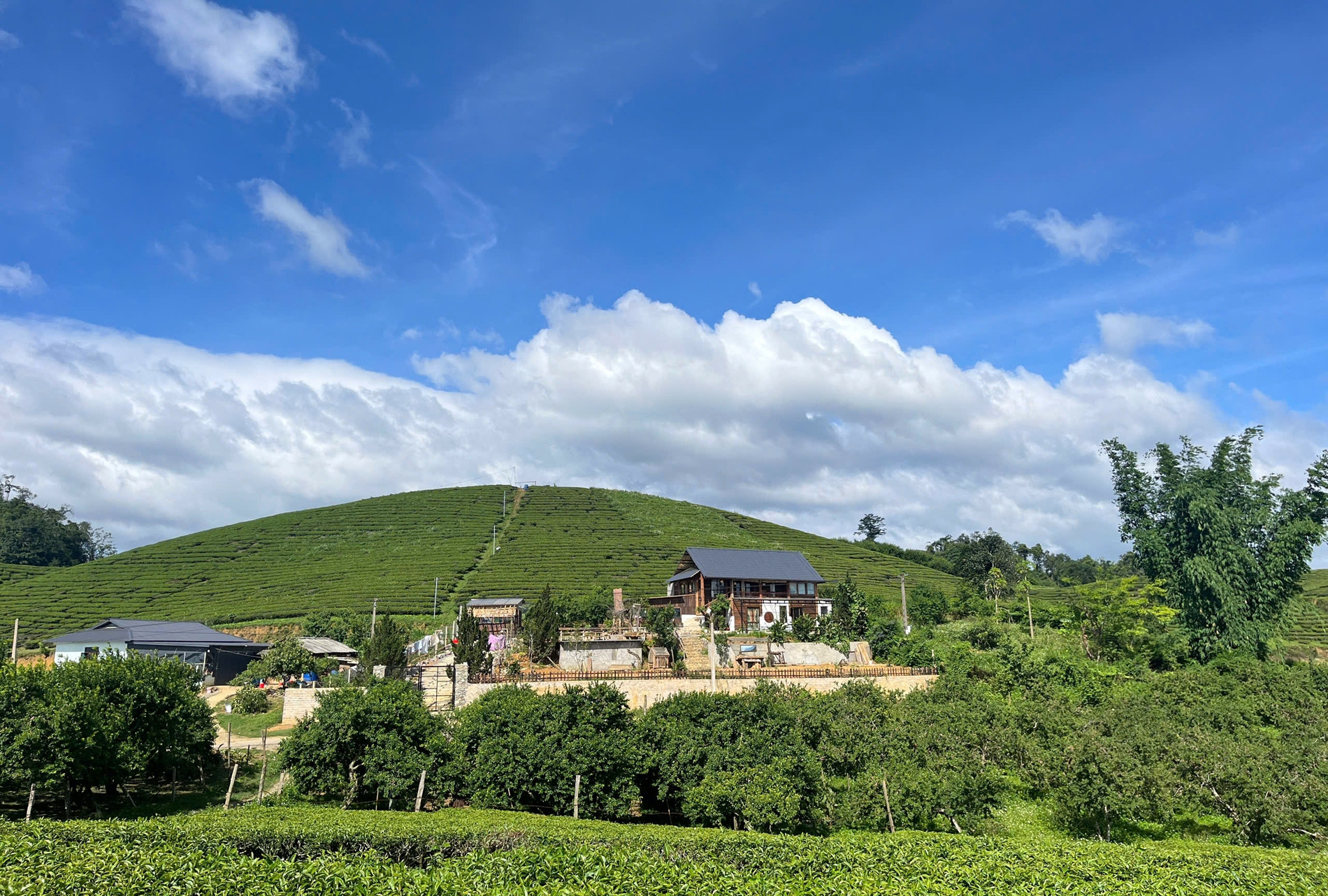 Vợ chồng ở Sơn La tậu mảnh đất giữa đồi chè, dựng nhà vườn 800m2 đẹp như mơ