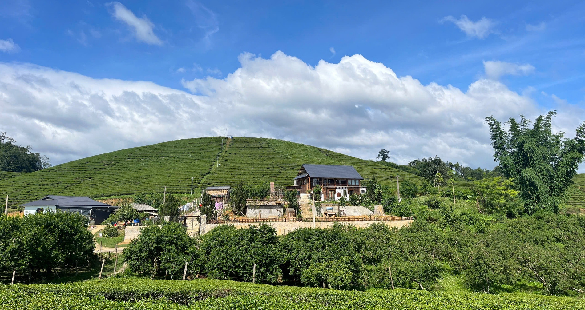 Vợ chồng ở Sơn La tậu mảnh đất giữa đồi chè, dựng nhà vườn 800m2 đẹp như mơ