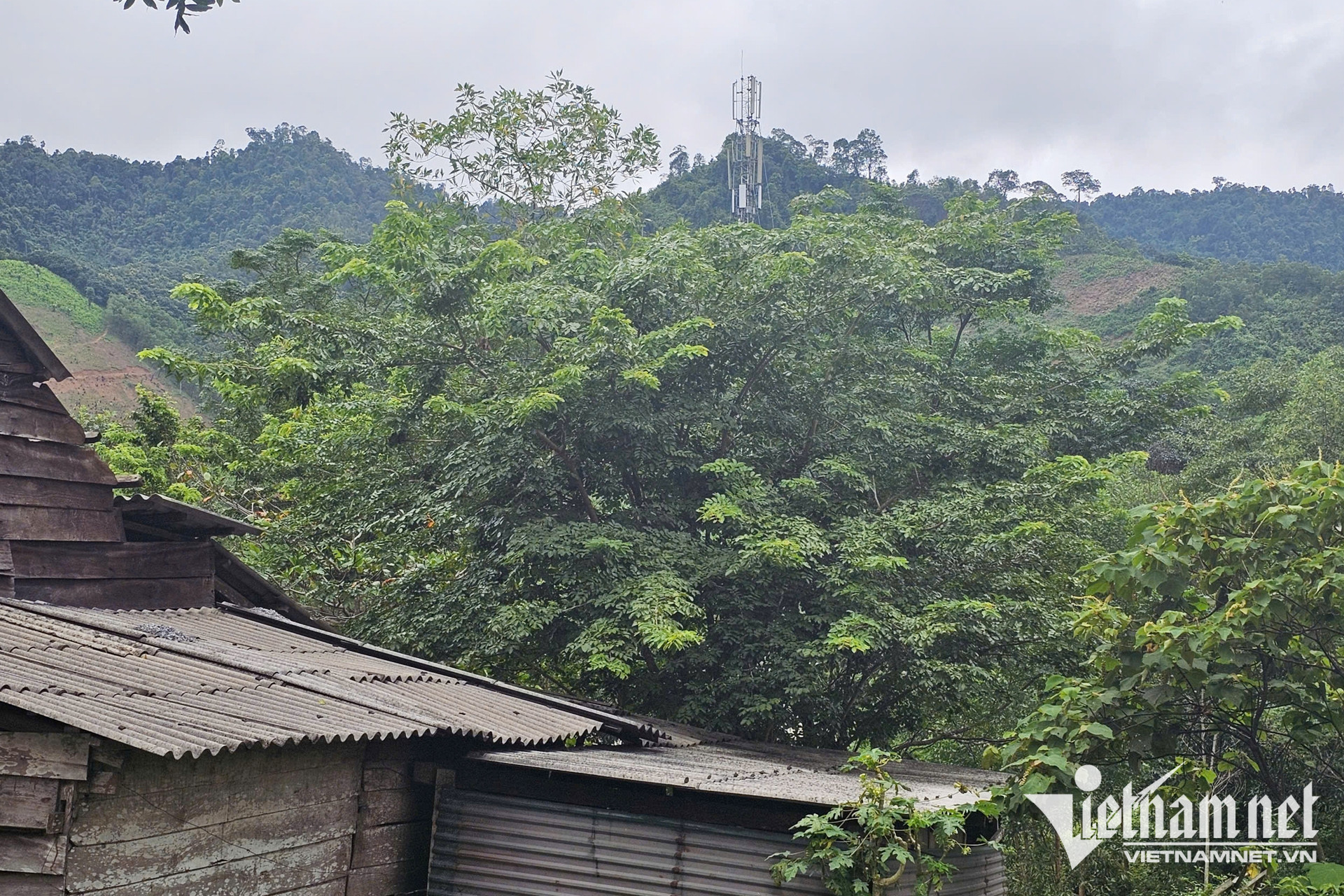 W-lom song di dong 1.jpg