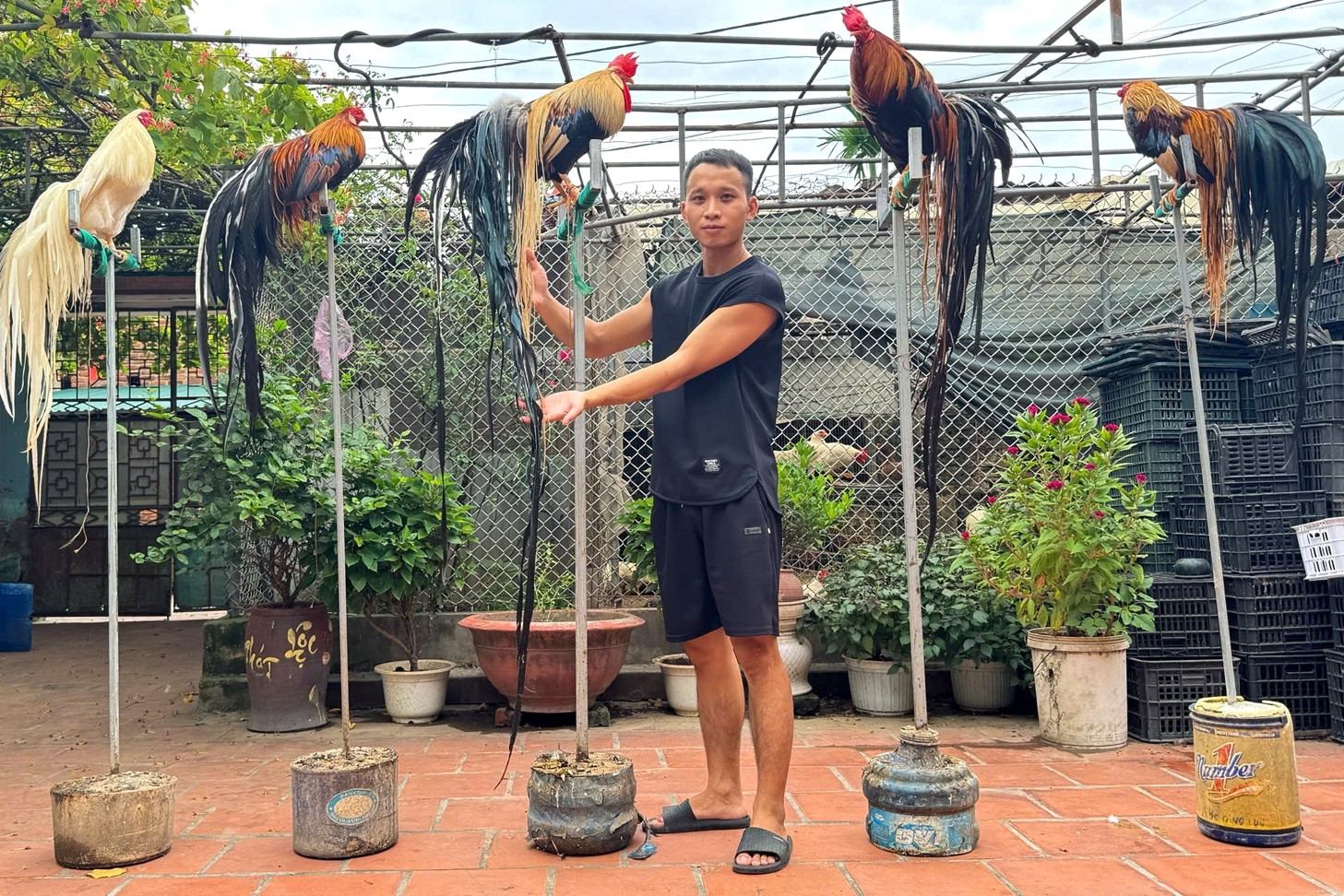 Chàng trai Phú Thọ nuôi thú cưng 'chân không chạm đất', đuôi càng dài càng đắt