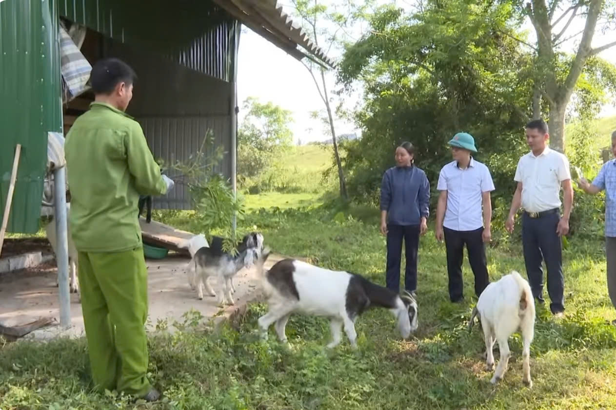 Hà Tĩnh: Gần 9.000 hộ thoát nghèo nhờ các mô hình hỗ trợ sản xuất và sinh kế