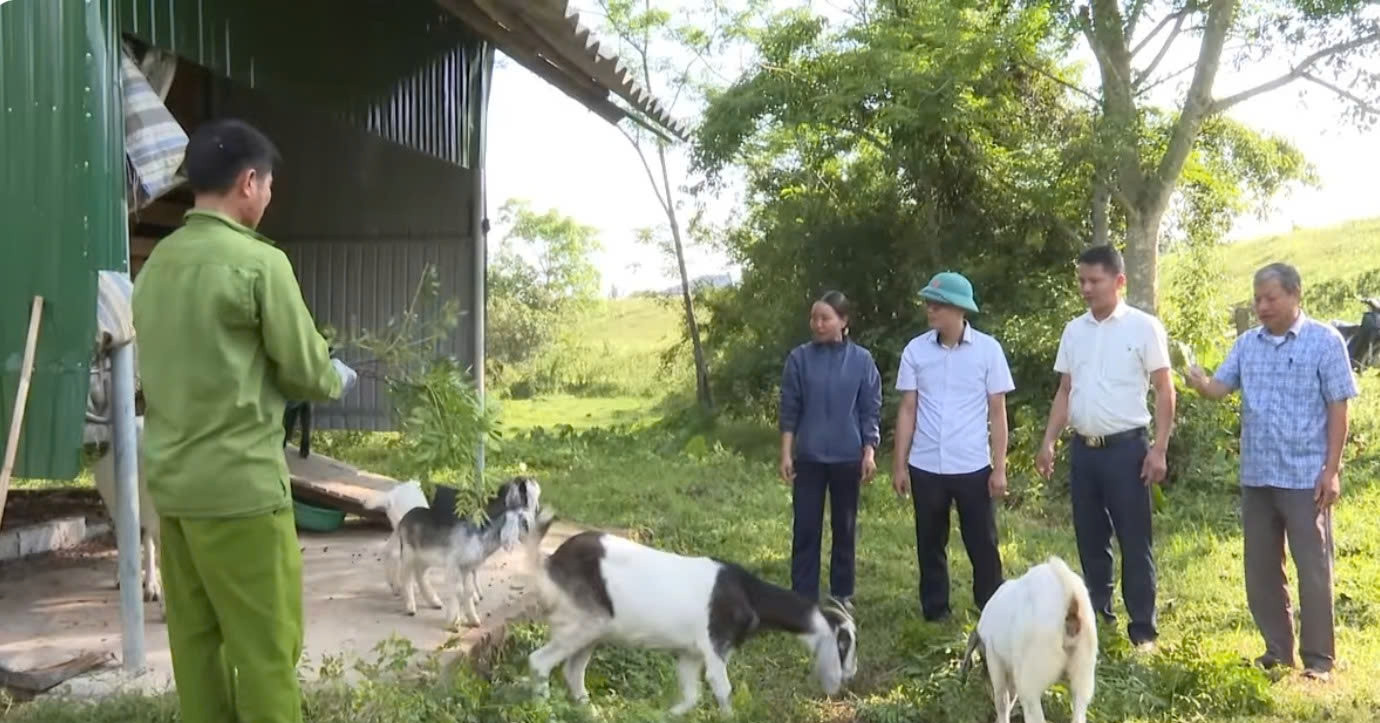 Hà Tĩnh: Gần 9.000 hộ thoát nghèo nhờ các mô hình hỗ trợ sản xuất và sinh kế