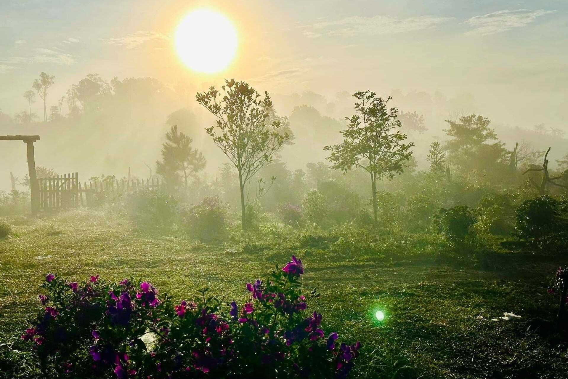 Ngôi làng bình yên ở Măng Đen bất ngờ hút khách nhờ những kho lúa Ngoi Lang Binh Yen O Mang Den Bat Ngo Hut Khach Nho Nhung Kho Lua 3015