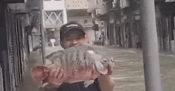 Người dân Macau đổ xô xuống đường bắt cá sau bão Ragasa