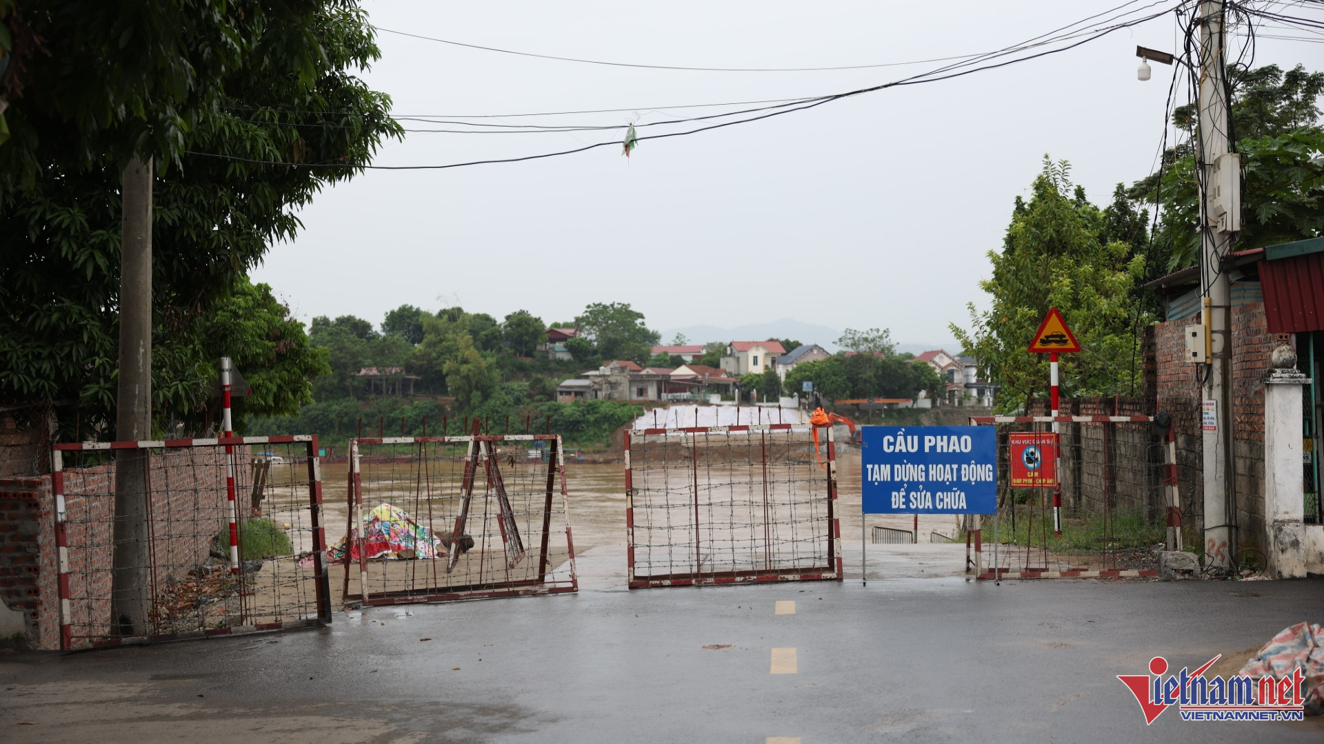 W-IMG_5483 2.JPG.jpg