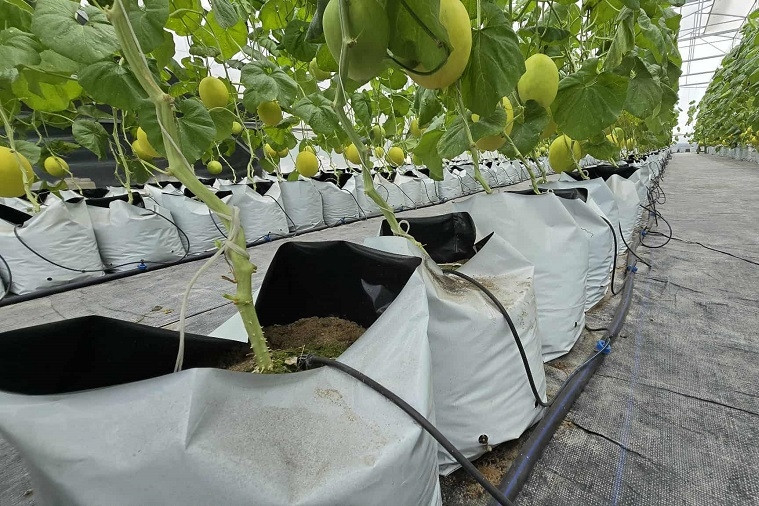 Mỹ An Hưng xây dựng nông thôn mới gắn với phát triển bền vững