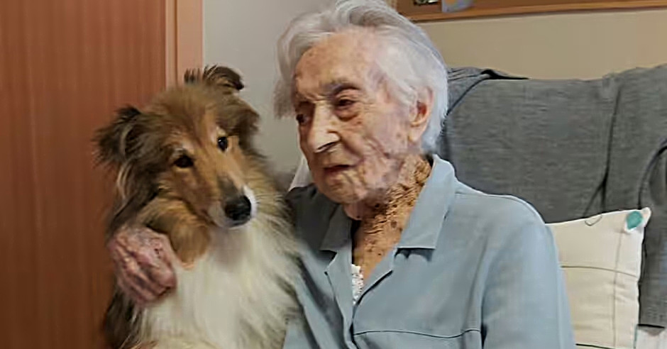 Phân tích hồ sơ của cụ bà 117 tuổi hé lộ bí quyết sống thọ có thể là 1 món ăn