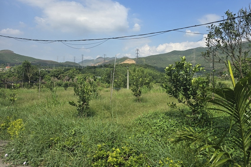 Thái Nguyên kiến tạo nông thôn mới hiện đại, năng động, hội nhập