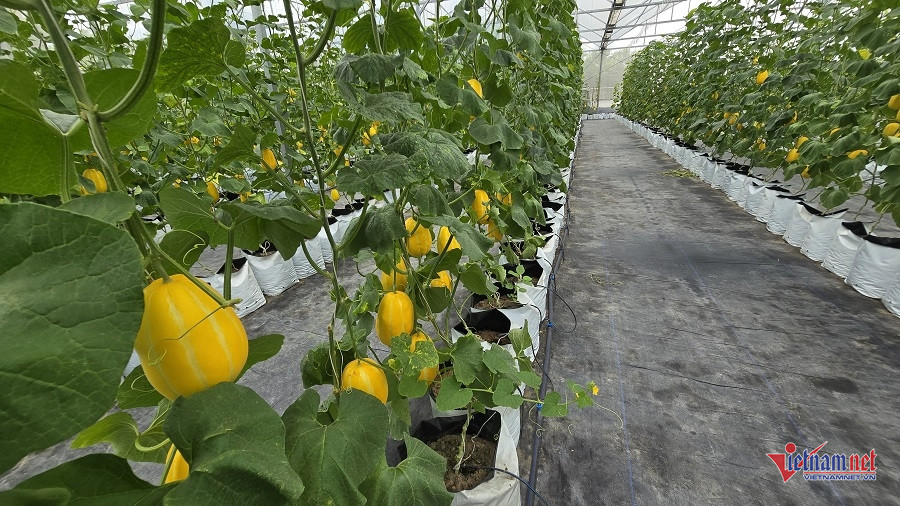 W-4546d8ea 4741 4d40 a39d 94ff183a220f.jpg