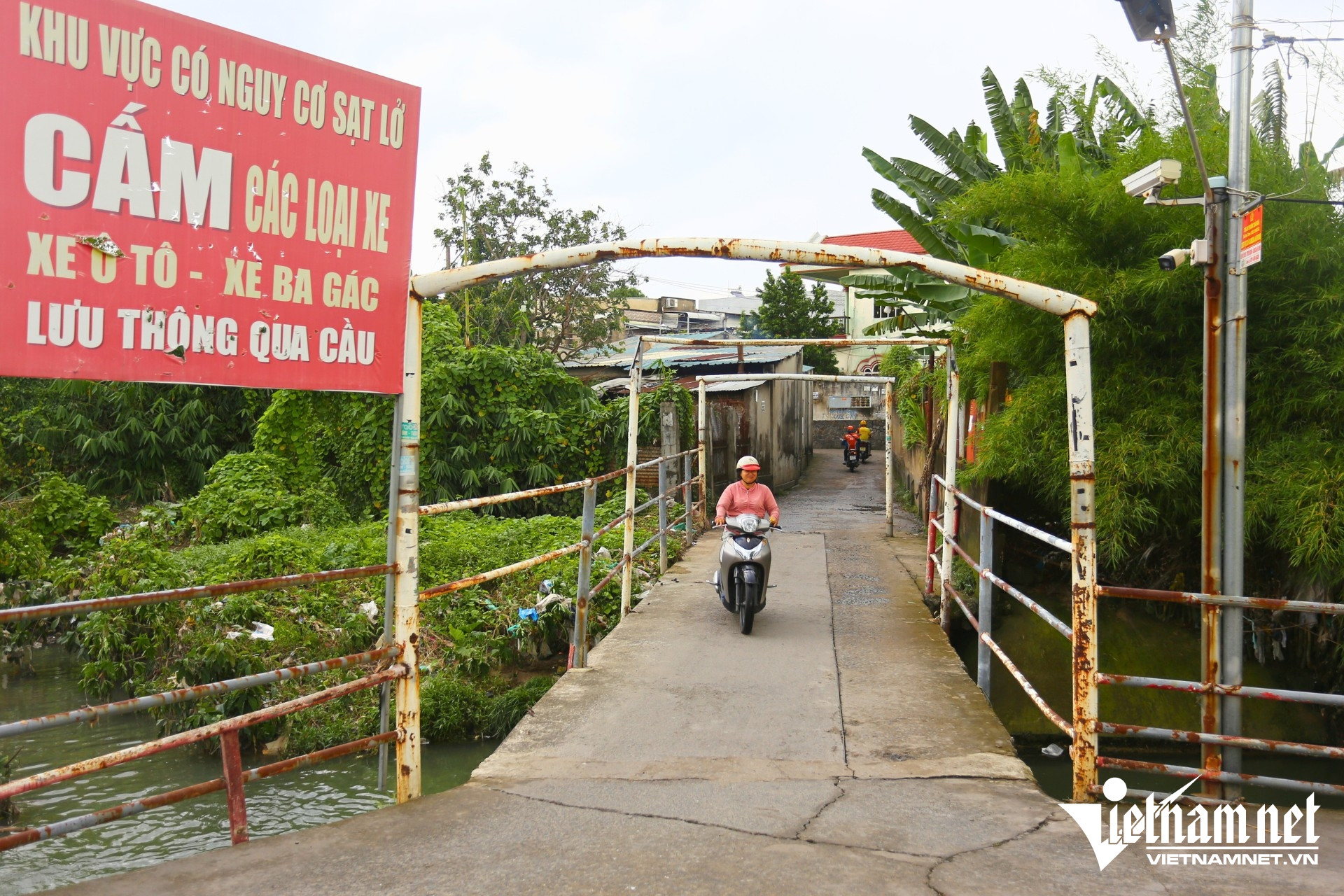 W-cau dan sinh 1.jpg