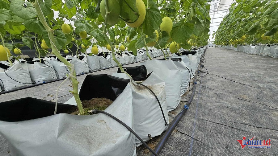 W-d341deb4 424b 4107 a5d2 e2fdb82e369f.jpg