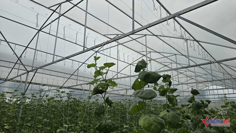 W-e24a2d95 9bdf 4bdc 812f 9c55ad4f5e3a.jpg