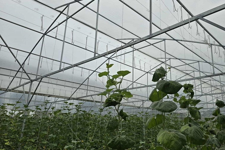 Xây dựng Hòa Long thành địa phương nông thôn mới kiểu mẫu, văn minh, hiện đại