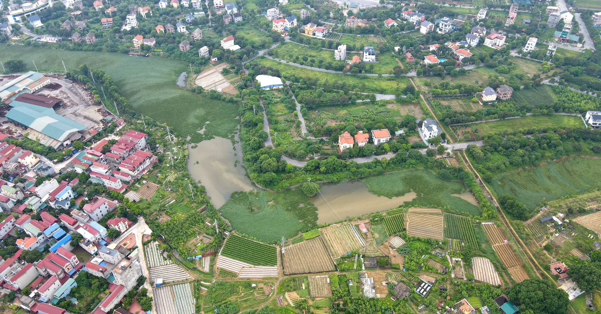 Chuyển đất trồng cây sang đất ở, đối tượng nào được miễn, giảm tiền sử dụng đất?