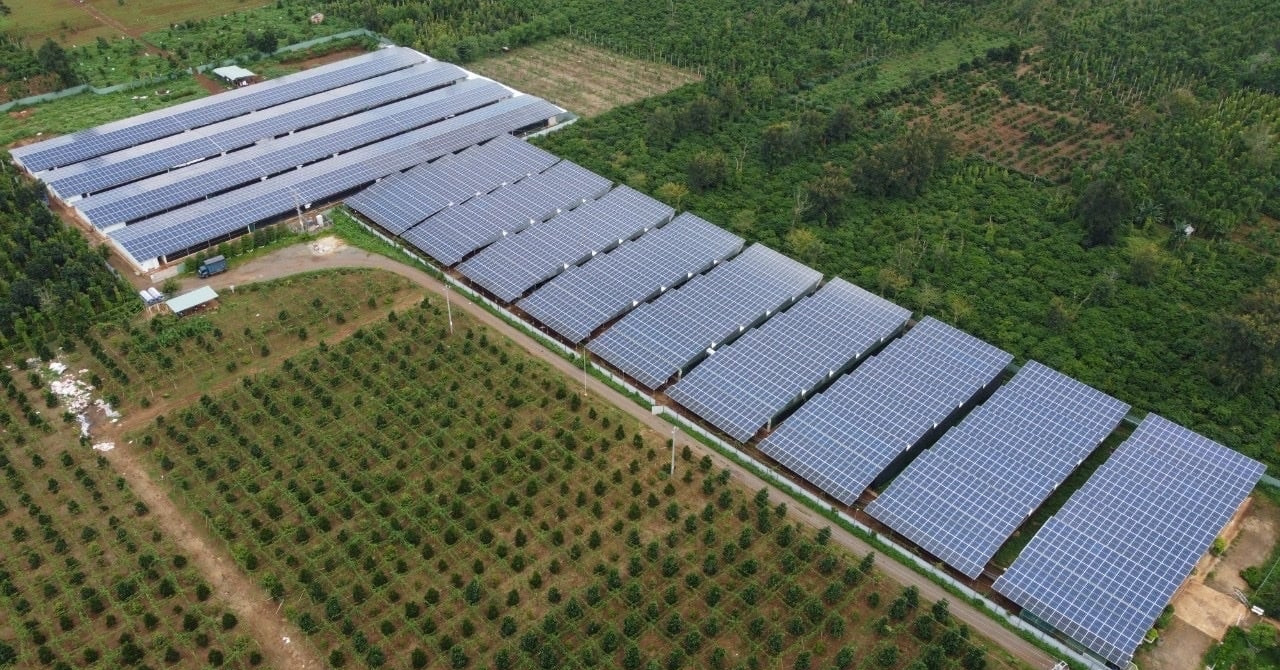 Lắp điện mặt trời mái nhà: Chủ trang trại không mất tiền điện, còn thu thêm vài trăm triệu mỗi tháng