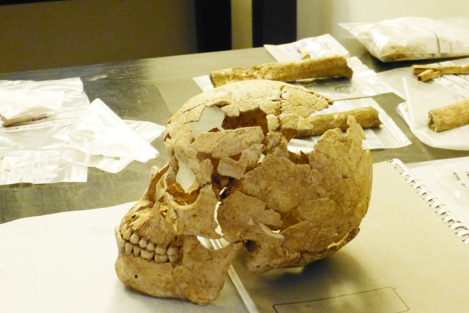 Những phát hiện khảo cổ chấn động từ Tràng An