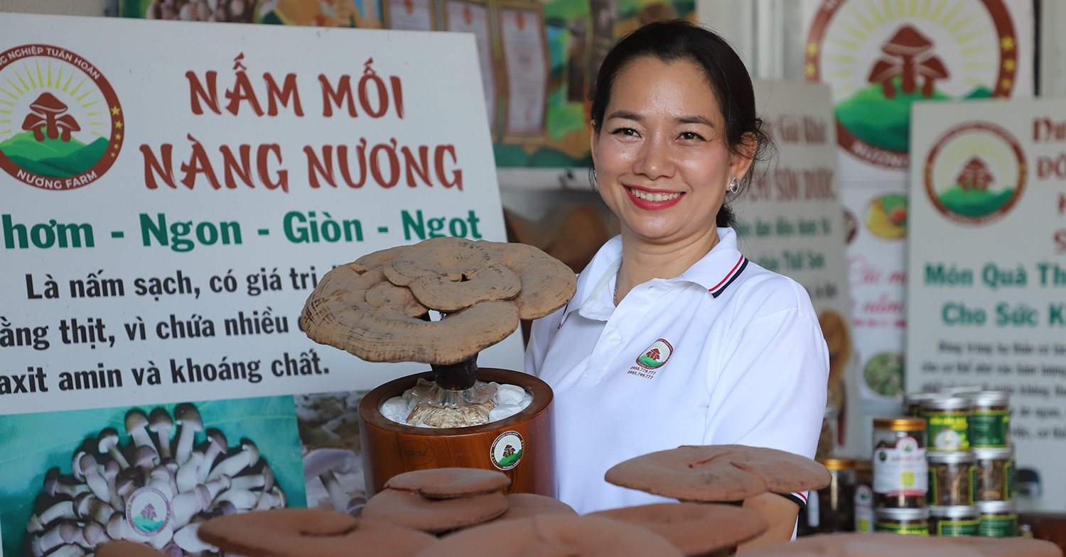 Rời bục giảng, nữ giáo viên khởi nghiệp với trang trại nấm bạc tỷ