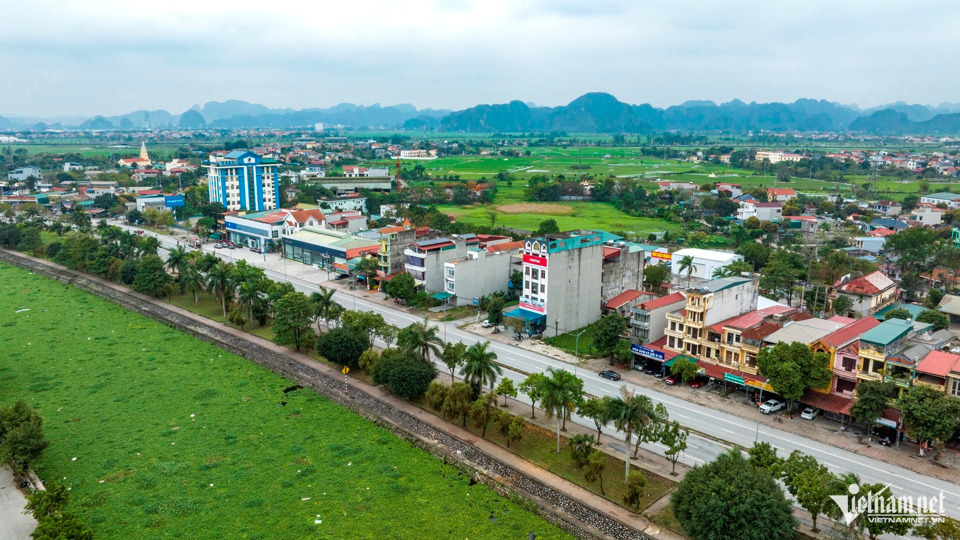 W-dau gia dat Ninh binh.jpg