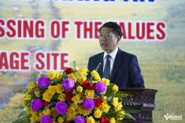 W-z7055996386028_99b39fe1f68fb70255fa4a68493cd93e.jpg