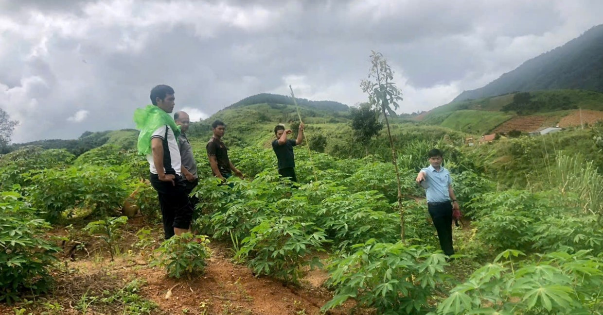 Xuất hiện vết nứt dài 200m trên đồi ở Quảng Ngãi, khẩn cấp di dời dân