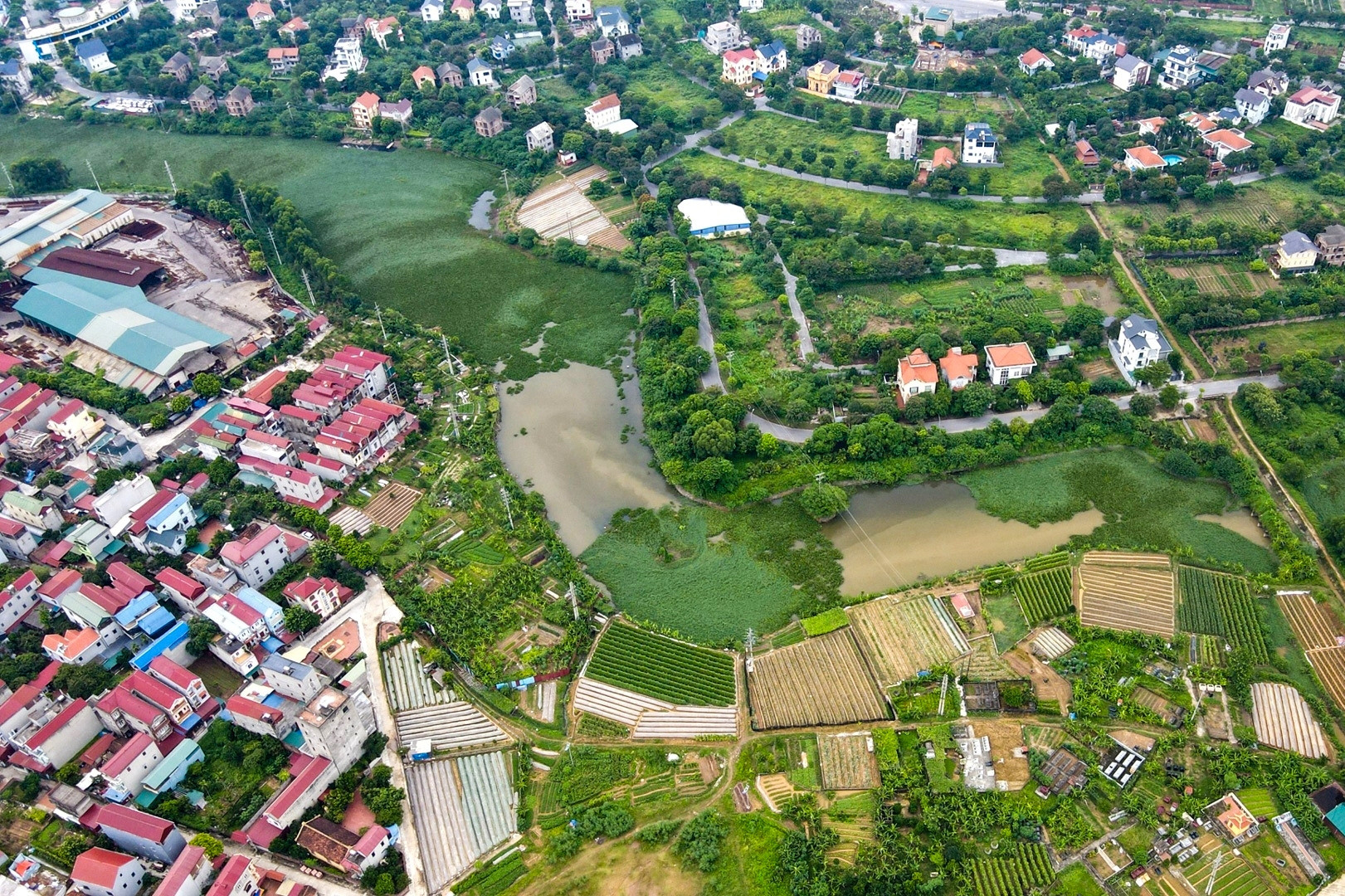 Chuyển đất trồng cây sang đất ở, đối tượng nào được miễn, giảm tiền sử dụng đất?